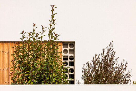 Tree House + Square House / Pereira Miguel Arquitectos + Nuno Martins Correia Tree House + Square House / Pereira Miguel Arquitectos + Nuno Martins Correia - Imagem 8 de 32