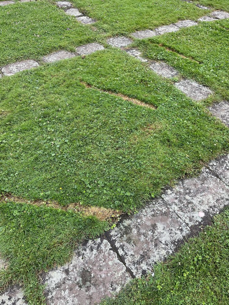 Gallery Of Circular Pavilion Fabian A Wagner Wiss Ass Louise Gallery Of Circular Pavilion Fabian A Wagner Wiss Ass Louise