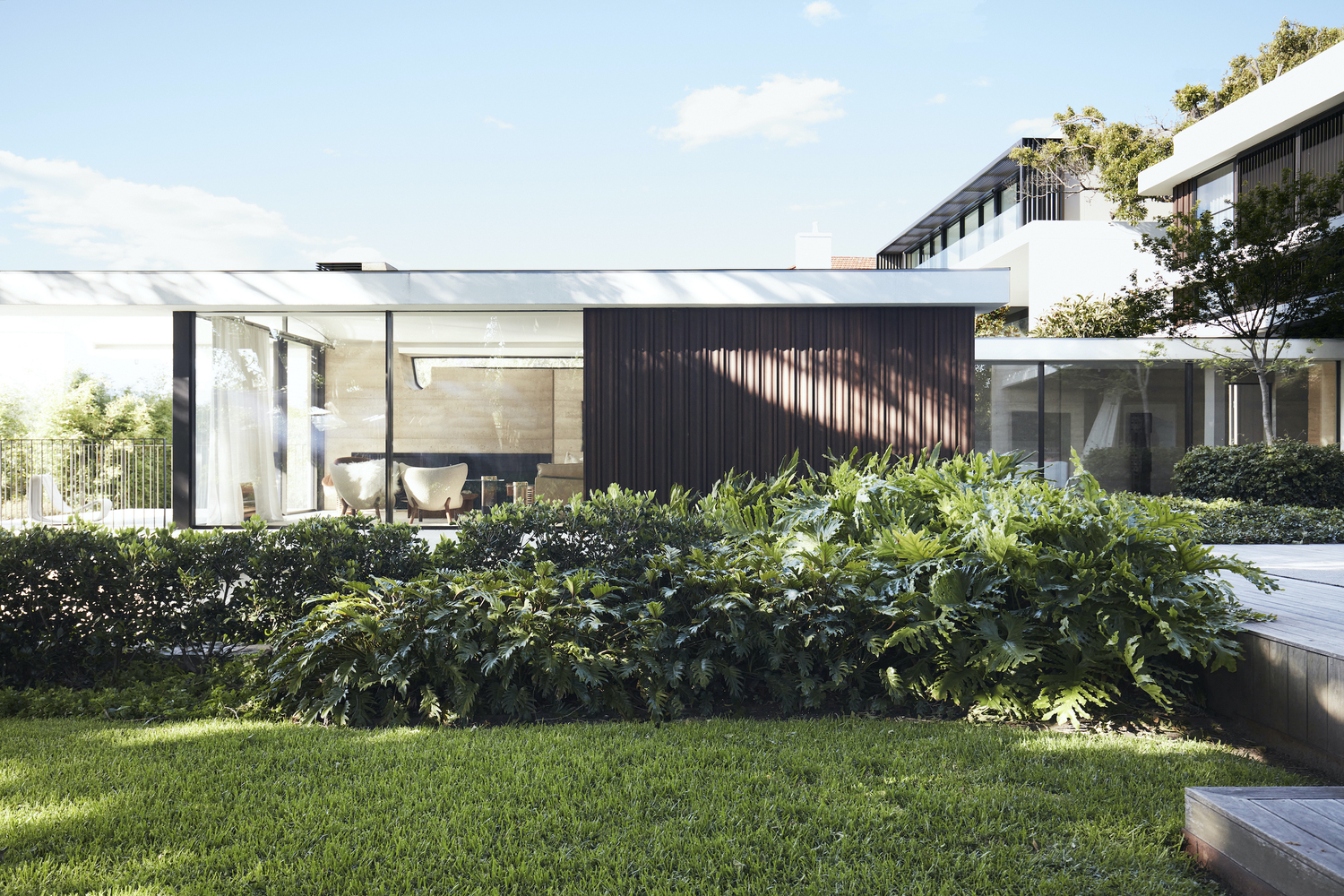 Casa Figueira / buck&simple - Imagem 6 de 40