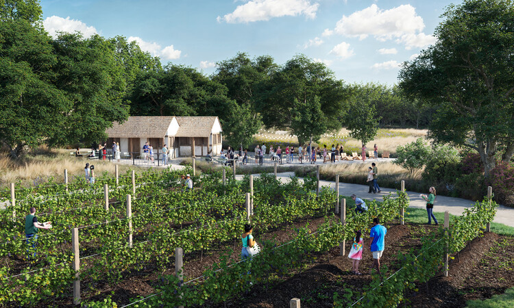 Reed Hilderbrand and SO-IL Reimagine San Antonio Botanical Garden with New Pollinator Habitat and Greenhouse - Image 4 of 4