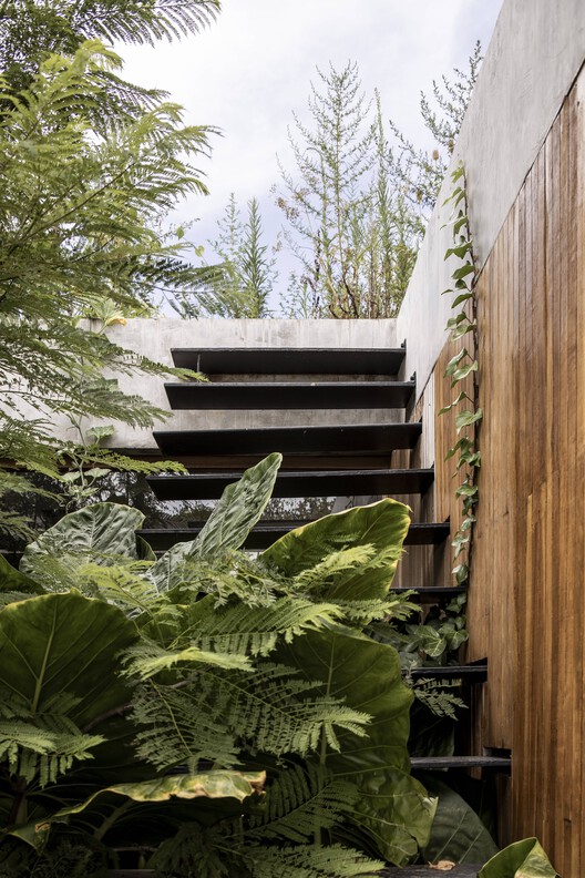 Casa de Las Aves / Estudio Simbiosis - Imagen 41 de 66