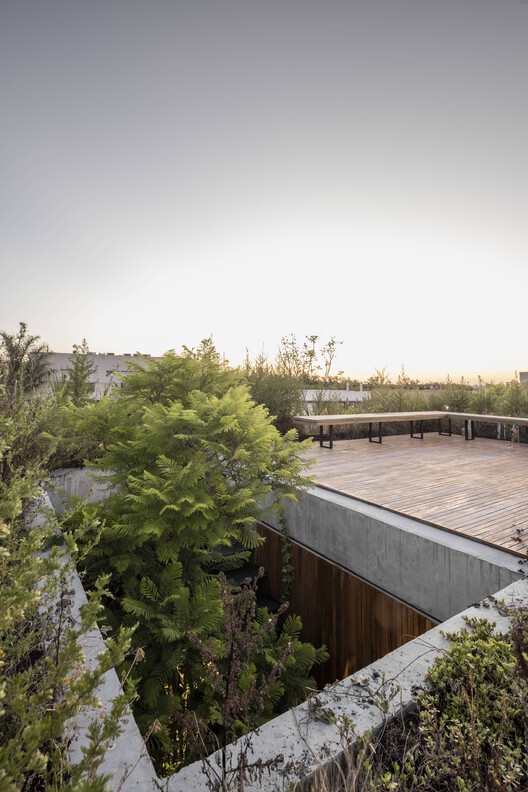 Casa de Las Aves / Estudio Simbiosis - Imagen 24 de 66