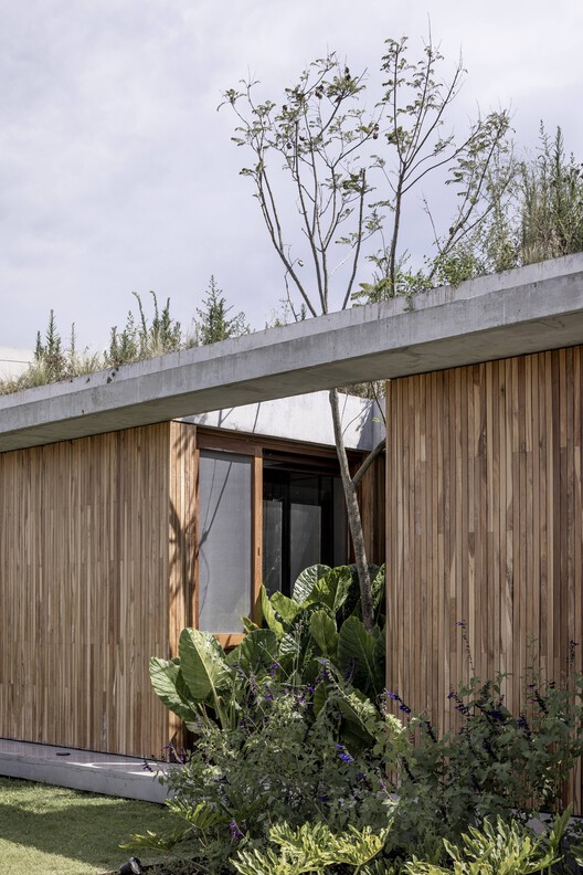 Casa de Las Aves / Estudio Simbiosis - Imagen 14 de 66