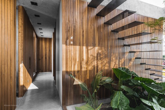 Casa de Las Aves / Estudio Simbiosis - Fotografía interior, Madera, Escaleras