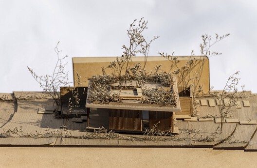 Casa de Las Aves / Estudio Simbiosis - Imagen 56 de 66