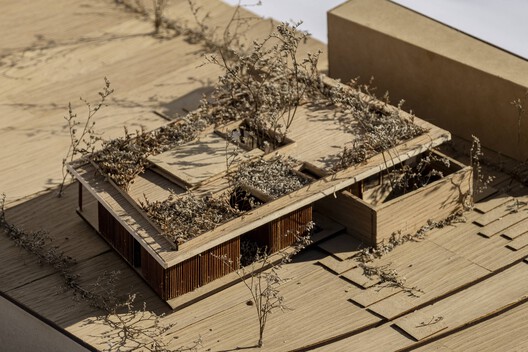 Casa de Las Aves / Estudio Simbiosis - Imagen 60 de 66