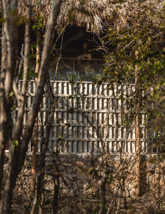 Casa Xcunya / APV Arquitectura para vivir - Imagen 6 de 14