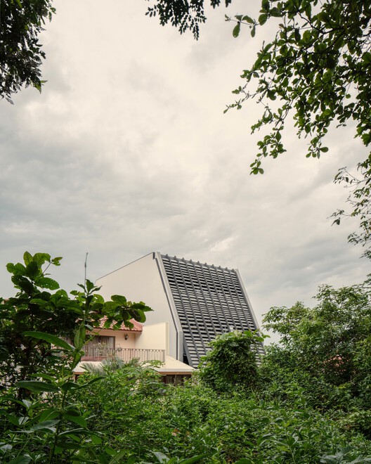 Casa de infinitos árboles / Freight Architects - Imagen 18 de 25