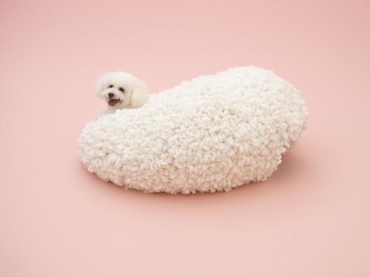Designing for Companionship: Reimagining Urban Life with Pets - Image 5 of 20