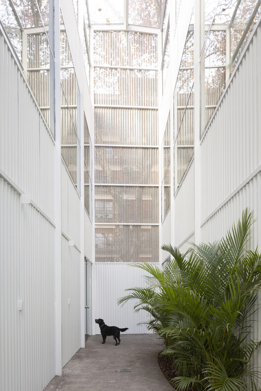 Designing for Companionship: Reimagining Urban Life with Pets - Image 16 of 20