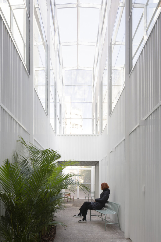 Designing for Companionship: Reimagining Urban Life with Pets - Image 11 of 20