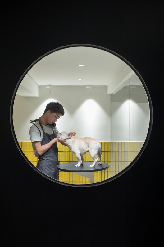 Designing for Companionship: Reimagining Urban Life with Pets - Image 2 of 20