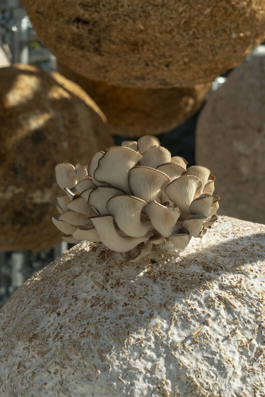 Growing Matter(s) Pavilion / Henning Larsen Architects - Image 12 of 19