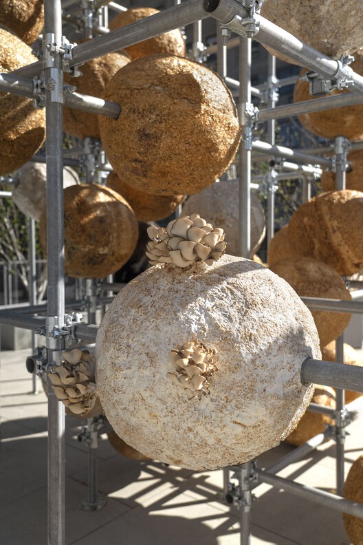 Growing Matter(s) Pavilion / Henning Larsen Architects - Image 3 of 19