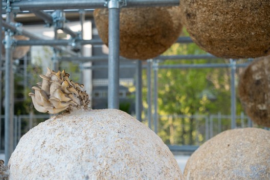 Growing Matter(s) Pavilion / Henning Larsen Architects - Image 8 of 19