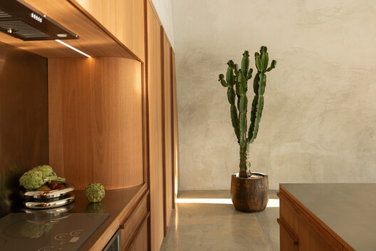 Domo Hata / Anastasiya Dudik - Fotografía interior, Madera, Iluminación, Encimera, Cocina