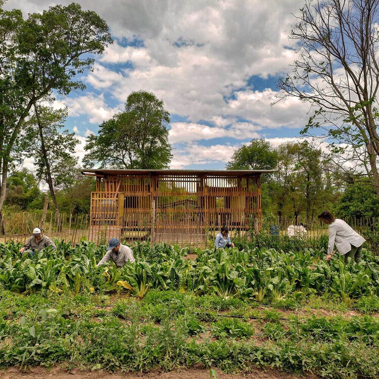 Paisajes Habitados: 20 centros culturales y comunitarios en zonas rurales - Imagen 3 de 29