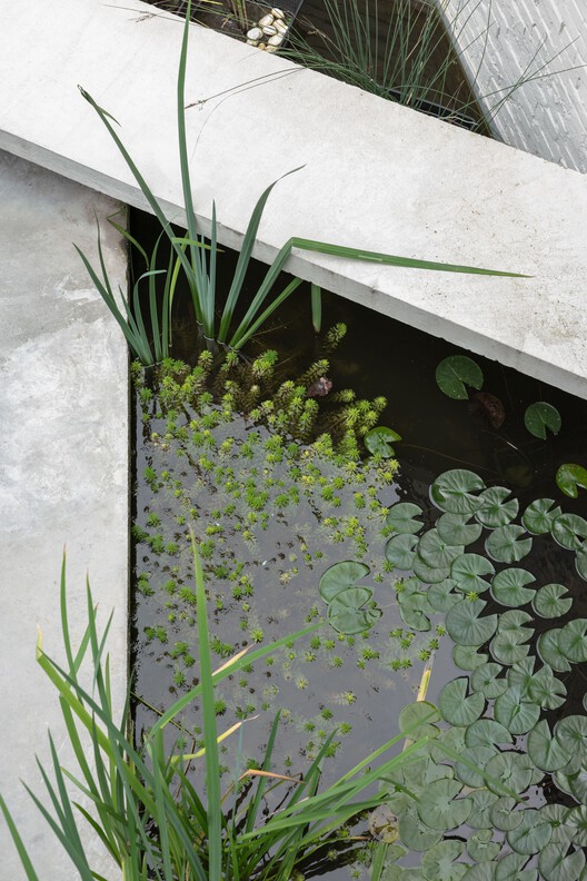 House WBVD / BASIL architecture - Image 27 of 40