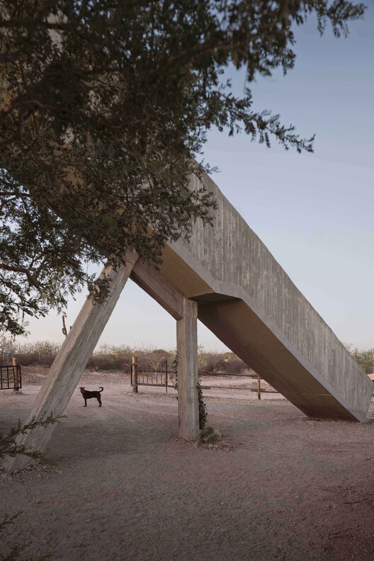 Casa La Paz / Ludwig Godefroy Architecture - Imagen 9 de 21