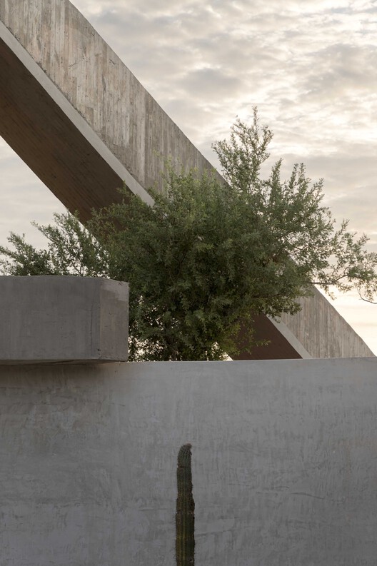 Casa La Paz / Ludwig Godefroy Architecture - Imagen 10 de 21