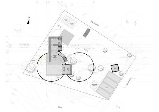 Casa La Paz / Ludwig Godefroy Architecture - Imagen 19 de 21