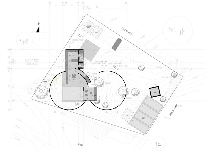 Casa La Paz / Ludwig Godefroy Architecture - Imagen 19 de 21