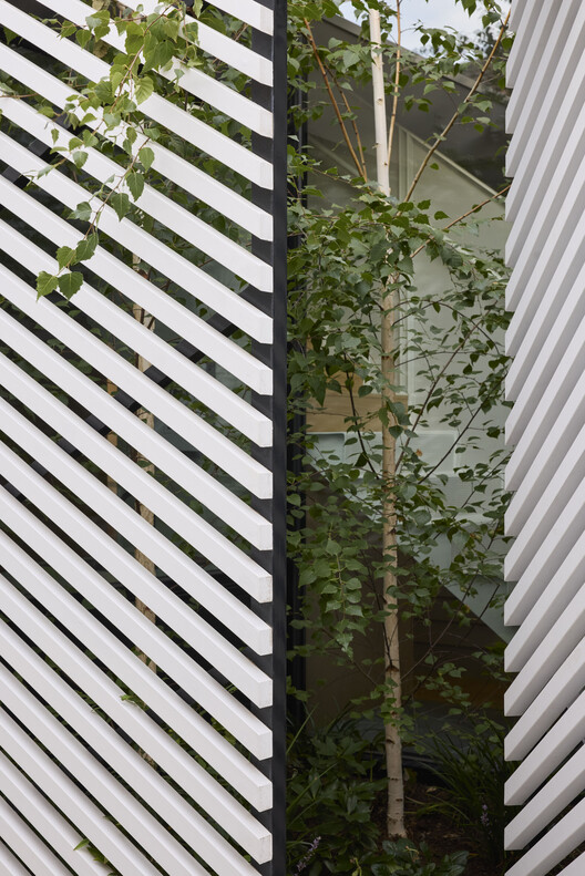 Clarke House / Austin Maynard Architects - Image 32 of 46