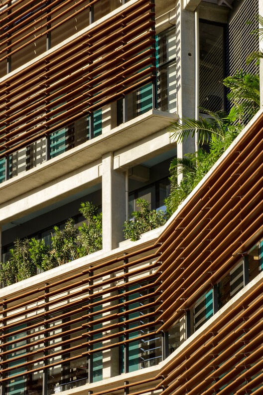 Colégio Bernoulli, Salvador / BCMF Arquitetos - Imagem 29 de 58