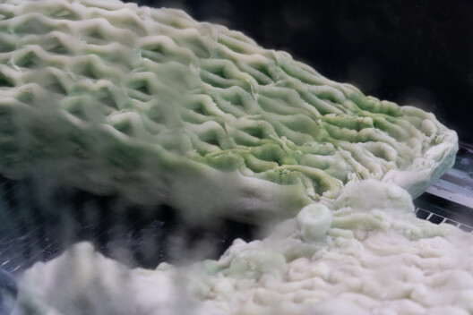 Canada Pavilion Presents Picoplanktonics, a Living Experiment in Regenerative Architecture at the 2025 Venice Biennale - Image 12 of 14