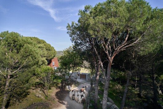 Cabaña en el Bosque / Ediz Demirel Works - Imagen 26 de 34