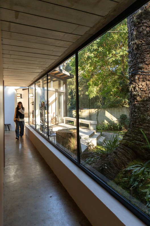 Araucarias House / ARKITITO Arquitetura - Exterior Photography, Glass