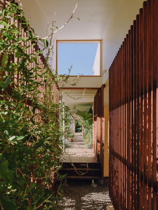 Cooroy House / Henry Bennett + Dan Wilson - Interior Photography, Wood, Balcony