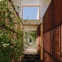 Casa Cooroy / Henry Bennett + Dan Wilson - Fotografia de Interiores, Sustentabilidade, Balcão
