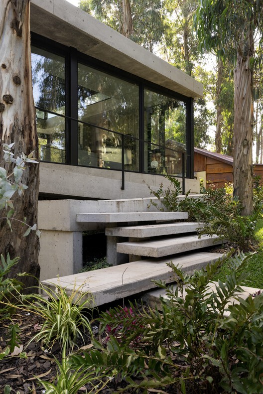 Casa Bosque / Carmona Pérez Marino - Fotografía exterior, Madera, Jardín