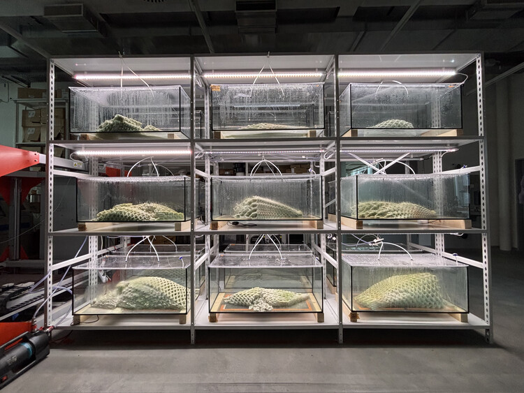Designing a Living and Dying Structure: Picoplanktonics and the Canadian Pavilion in Venice - Image 2 of 11