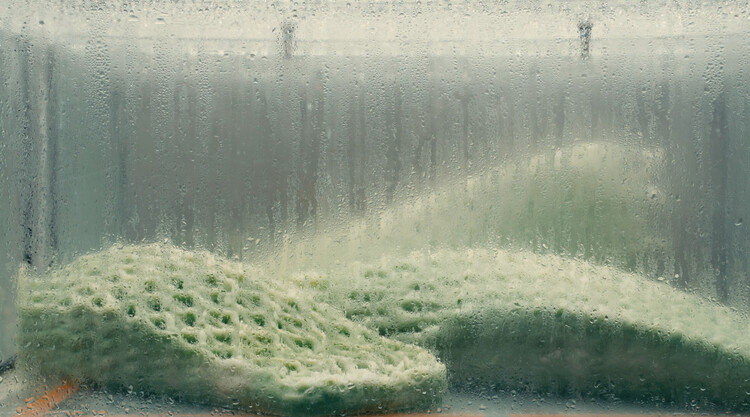 Designing a Living and Dying Structure: Picoplanktonics and the Canadian Pavilion in Venice - Image 4 of 11