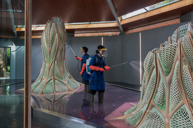 Designing a Living and Dying Structure: Picoplanktonics and the Canadian Pavilion in Venice - Image 8 of 11