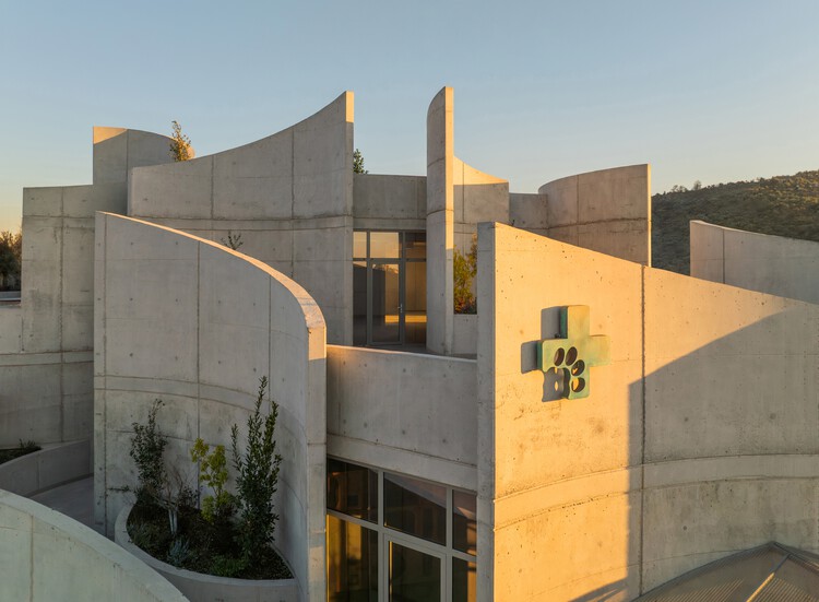 地拉那兽医医院 / Davide Macullo Architects - 建筑图, 具体的