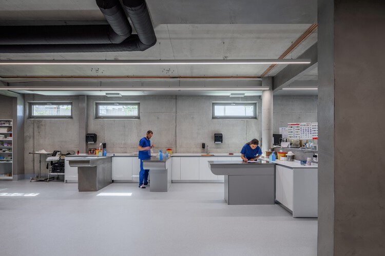 地拉那兽医医院 / Davide Macullo Architects - 室内图, 厨房