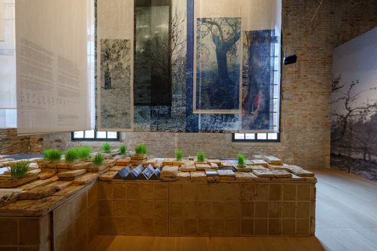 The Land Remembers: Lebanon’s Pavilion at the 2025 Venice Biennale Confronts Ecocide Through Architecture - Image 4 of 23