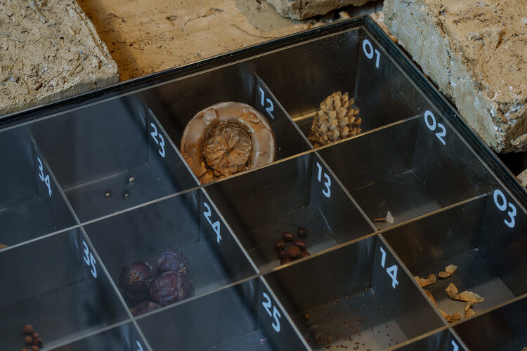 The Land Remembers: Lebanon’s Pavilion at the 2025 Venice Biennale Confronts Ecocide Through Architecture - Image 10 of 23
