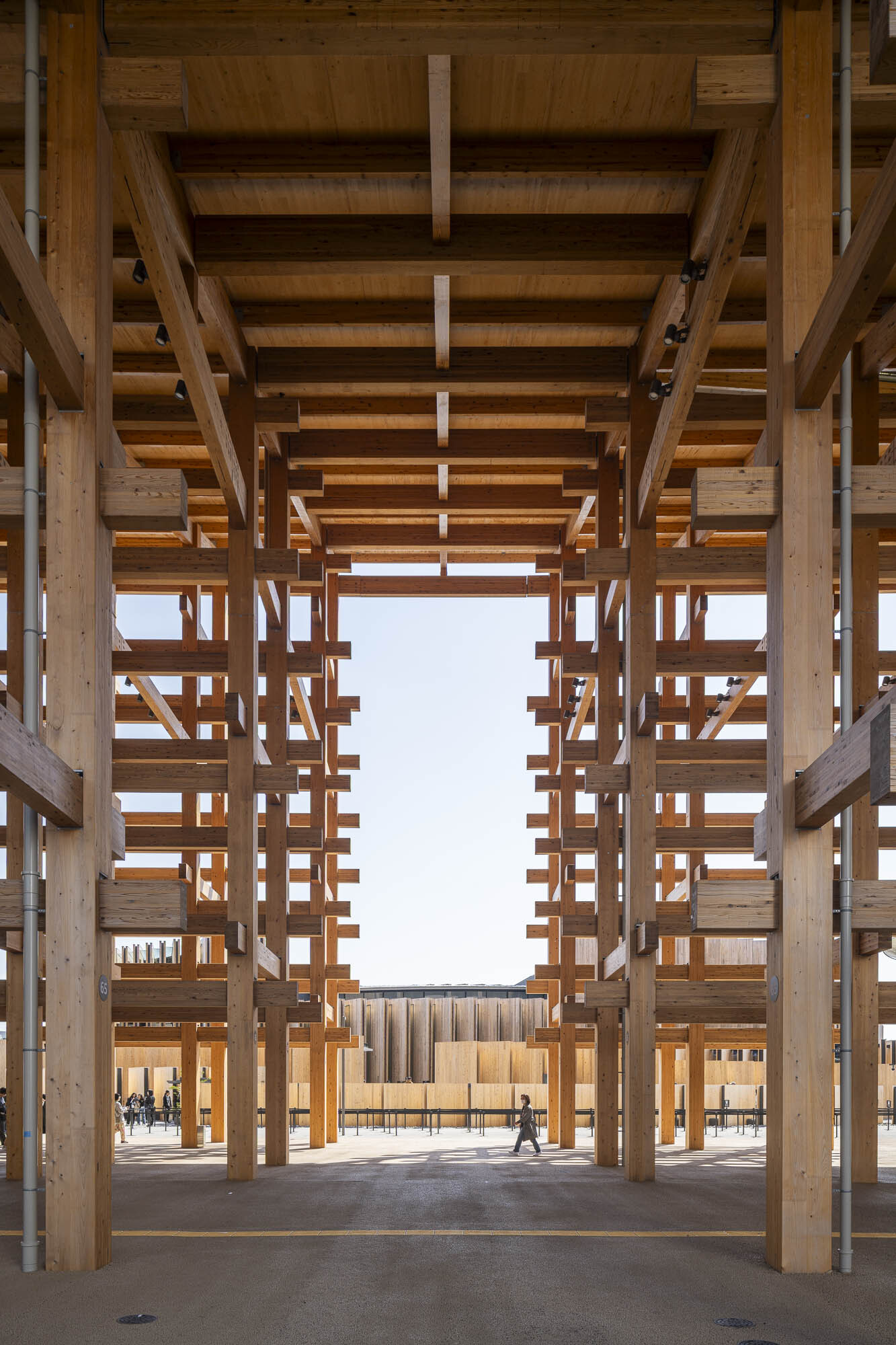 アート・デザイン・音楽 THE ROOTS OF INTERNATIONAL ARCHITECTURE Architect Sou Fujimoto Releases “Medusa” VR Installation