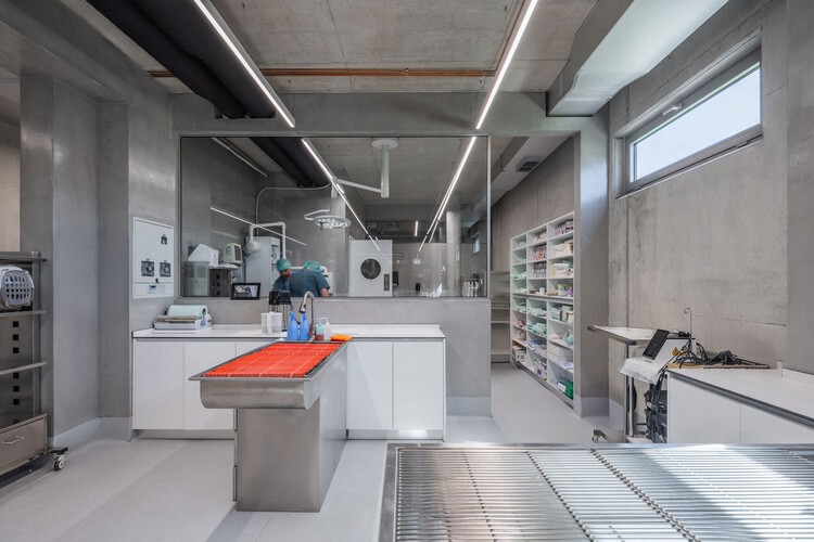 地拉那兽医医院 / Davide Macullo Architects - 室内图, 厨房