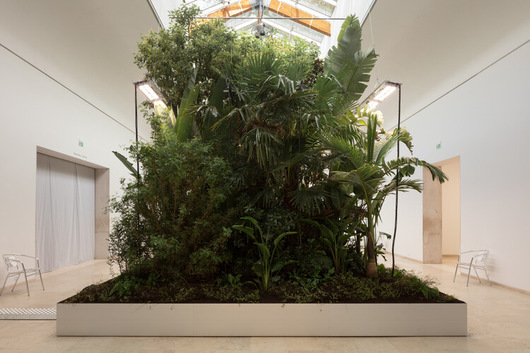 "Can We Think of a Building as a Microclimate?": In Conversation With Bas Smets and Dennis Pohl About the Belgian Pavilion in Venice - Image 5 of 8