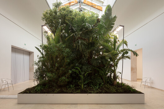 The Belgian Pavilion Explores Plant-Based Architecture at the Venice Biennale 2025 - Image 6 of 32