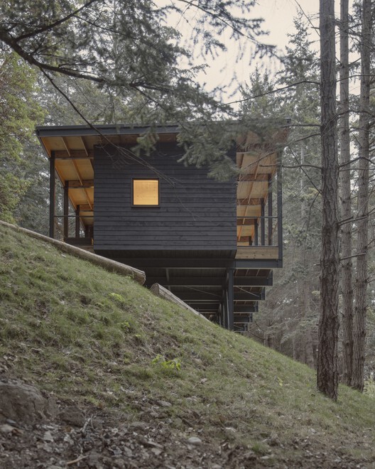 Cabana Trestle / Miller Hull Partnership - Fotografia de Exterior, Madeira, Floresta