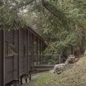 Cabana Trestle / Miller Hull Partnership - Fotografia de Exterior, Casas, Floresta