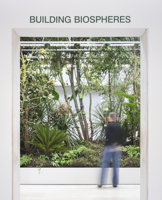 The Belgian Pavilion Explores Plant-Based Architecture at the Venice Biennale 2025 - Image 8 of 32