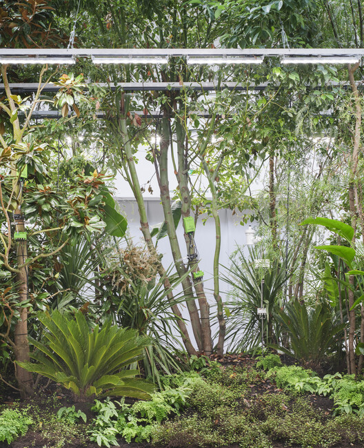 The Belgian Pavilion Explores Plant-Based Architecture at the Venice Biennale 2025 - Image 10 of 32
