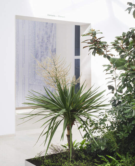 The Belgian Pavilion Explores Plant-Based Architecture at the Venice Biennale 2025 - Image 18 of 32